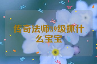 传奇法师39级抓什么宝宝