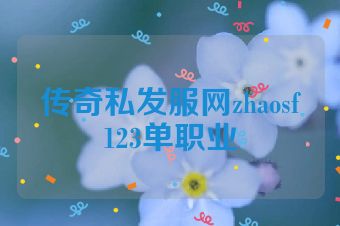 传奇私发服网zhaosf123单职业