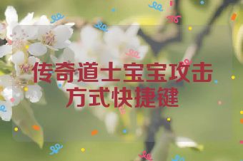 传奇道士宝宝攻击方式快捷键