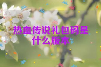 热血传说礼包码是什么版本