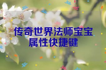 传奇世界法师宝宝属性快捷键