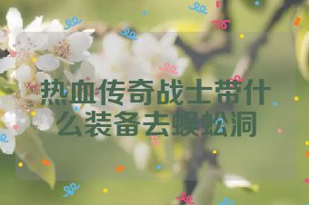 热血传奇战士带什么装备去蜈蚣洞