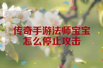 传奇手游法师宝宝怎么停止攻击