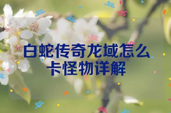 白蛇传奇龙域怎么卡怪物详解