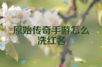 原始传奇手游怎么洗红名
