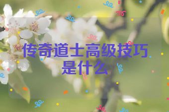 传奇道士高级技巧是什么