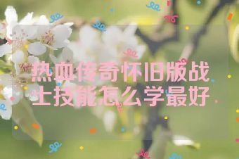 热血传奇怀旧版战士技能怎么学最好