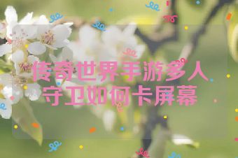 传奇世界手游多人守卫如何卡屏幕
