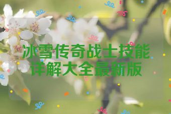 冰雪传奇战士技能详解大全最新版
