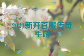 2021新开首服传奇手游