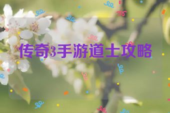 传奇3手游道士攻略