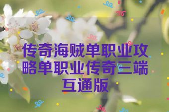 传奇海贼单职业攻略单职业传奇三端互通版