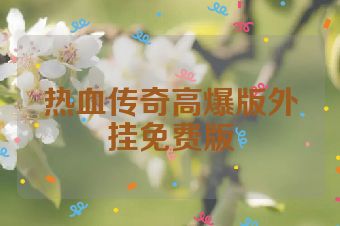热血传奇高爆版外挂免费版
