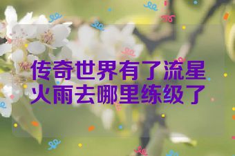 传奇世界有了流星火雨去哪里练级了