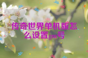 传奇世界单机版怎么设置gm号
