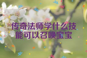 传奇法师学什么技能可以召唤宝宝