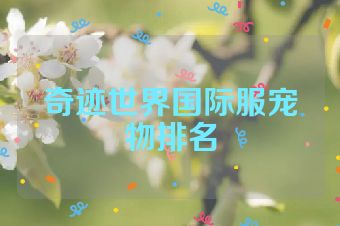 奇迹世界国际服宠物排名