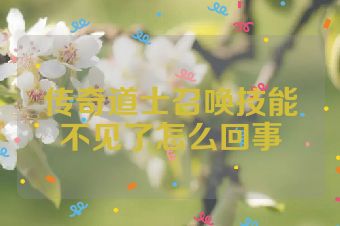 传奇道士召唤技能不见了怎么回事