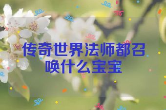 传奇世界法师都召唤什么宝宝
