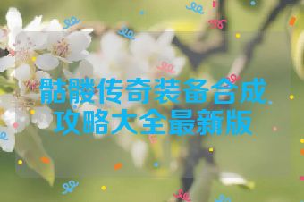 骷髅传奇装备合成攻略大全最新版