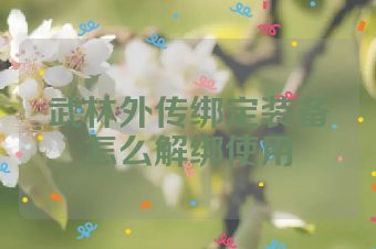 武林外传绑定装备怎么解绑使用