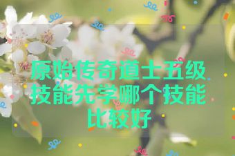 原始传奇道士五级技能先学哪个技能比较好