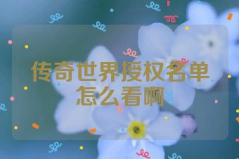 传奇世界授权名单怎么看啊
