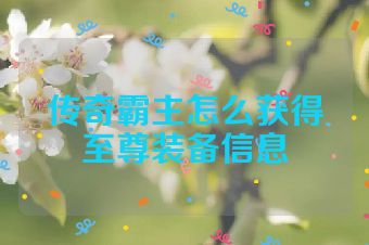 传奇霸主怎么获得至尊装备信息