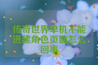 传奇世界单机不能进建角色页面怎么回事