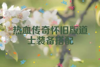 热血传奇怀旧版道士装备搭配