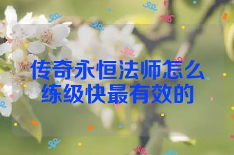 传奇永恒法师怎么练级快最有效的