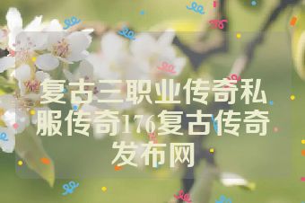 复古三职业传奇私服传奇176复古传奇发布网