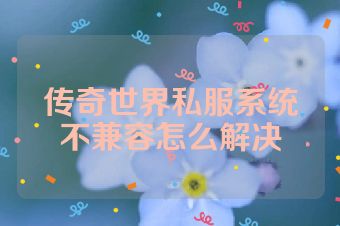 传奇世界私服系统不兼容怎么解决
