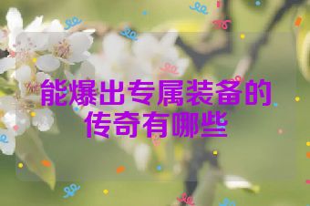 能爆出专属装备的传奇有哪些