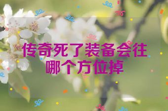 传奇死了装备会往哪个方位掉
