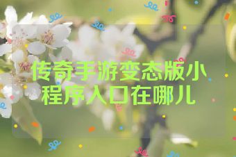 传奇手游变态版小程序入口在哪儿