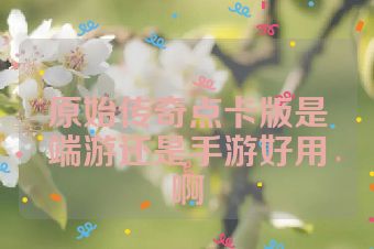 原始传奇点卡版是端游还是手游好用啊