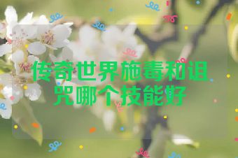 传奇世界施毒和诅咒哪个技能好