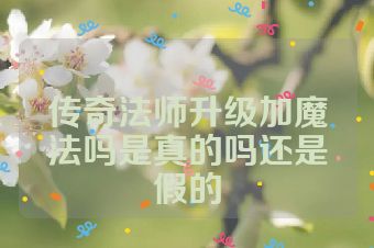 传奇法师升级加魔法吗是真的吗还是假的