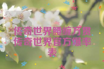 传奇世界腰缠万贯传奇世界官方爆率表