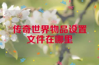 传奇世界物品设置文件在哪里