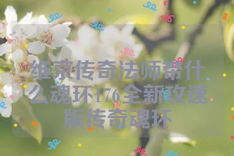 维京传奇法师带什么魂环176全新攻速版传奇魂环
