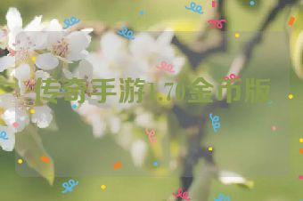 传奇手游1.70金币版