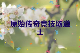 原始传奇竞技场道士