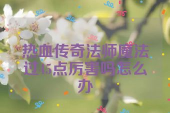 热血传奇法师魔法过45点厉害吗怎么办