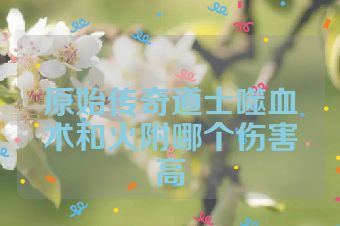 原始传奇道士噬血术和火附哪个伤害高