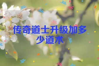 传奇道士升级加多少道术