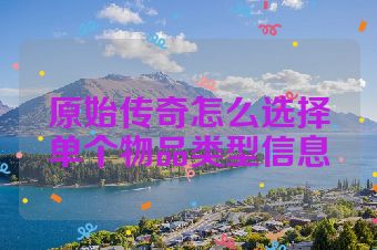 原始传奇怎么选择单个物品类型信息
