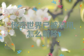传奇世界已被录用怎么解除