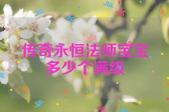 传奇永恒法师宝宝多少个满级